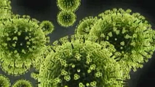 Grippe A H1N1  un bilan plus lourd qu initialement estimé